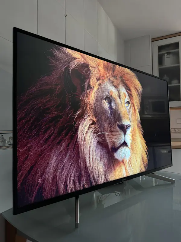 Sony KD-65XG8096 Smart TV Google TV UHD 4K